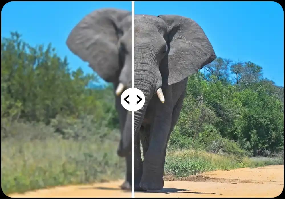 restore-image